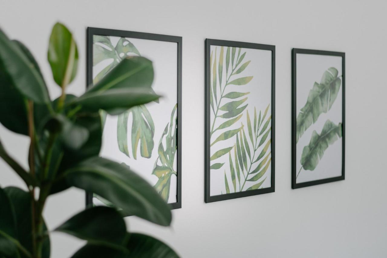 Apartment Fresh - Parking Included イゾラ エクステリア 写真